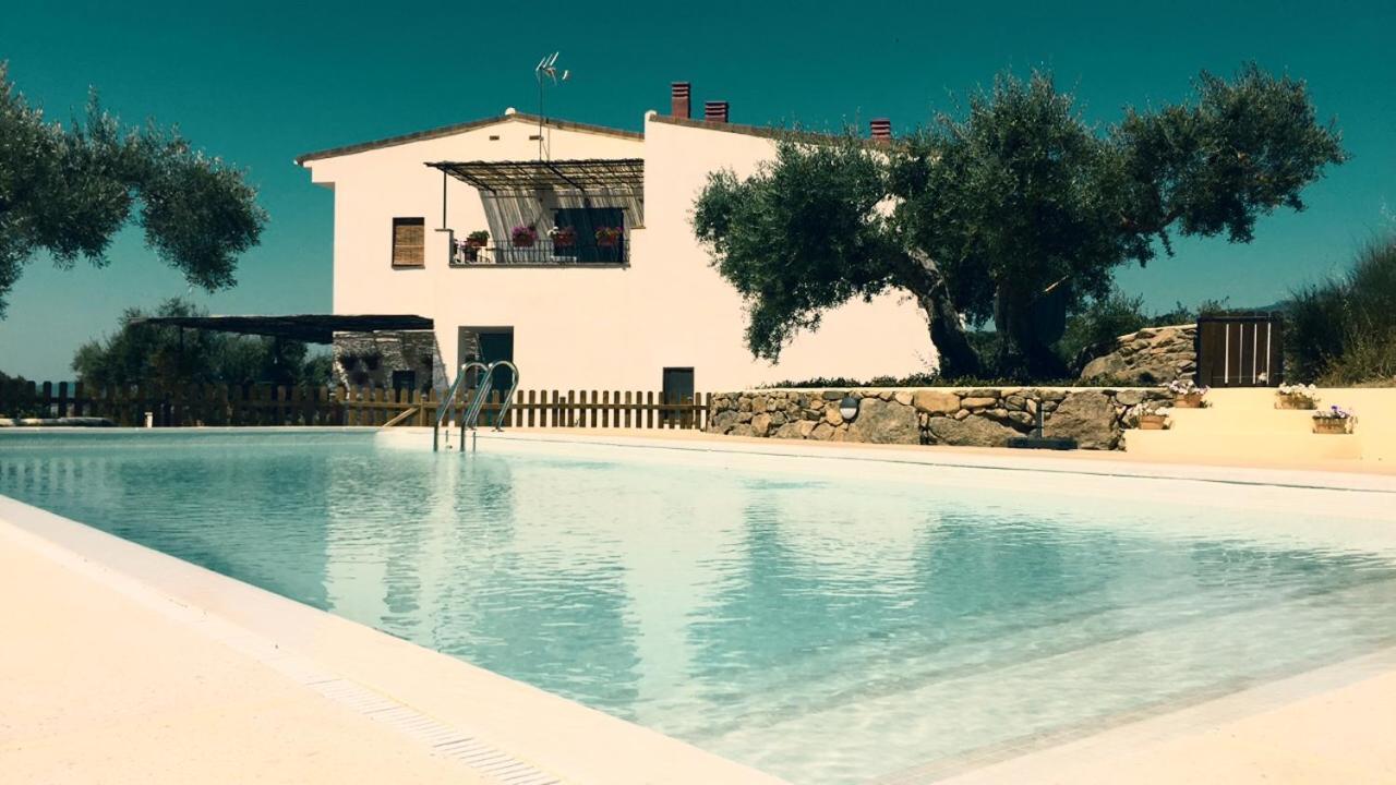 Flores Amarillas B&B Almoharin Extérieur photo